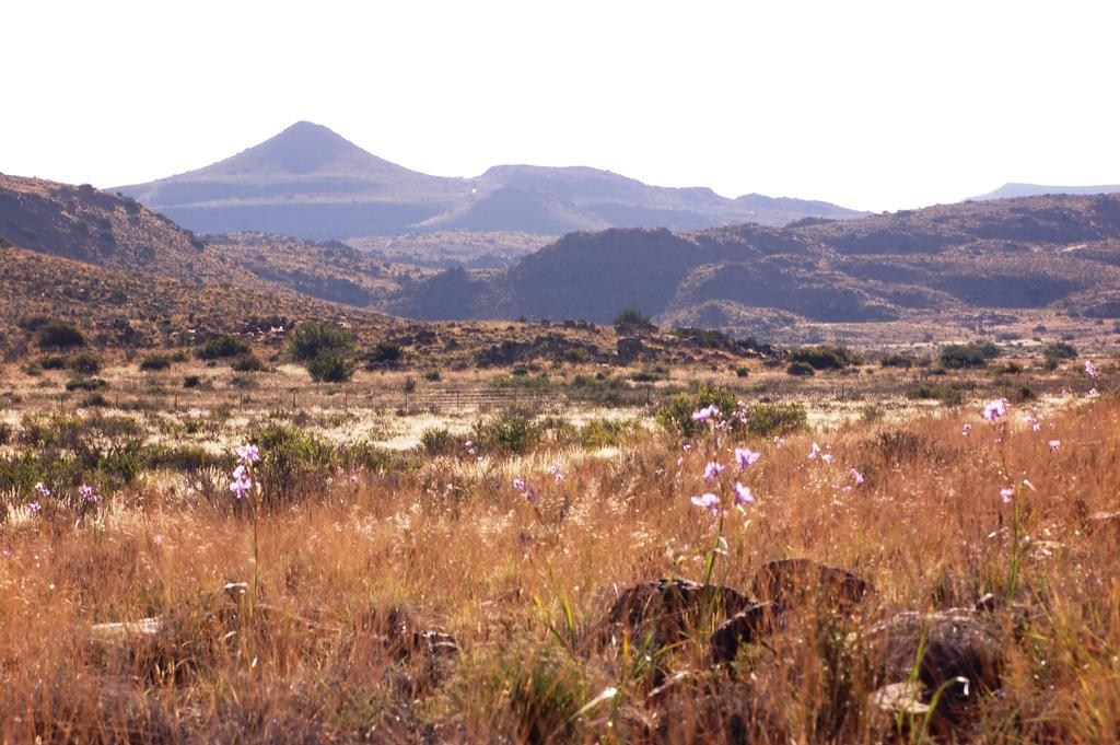 The Vale Karoo Farm Villa Nelspoort Luaran gambar